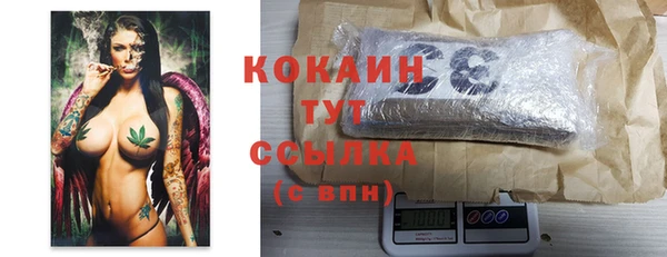 индика Каменка
