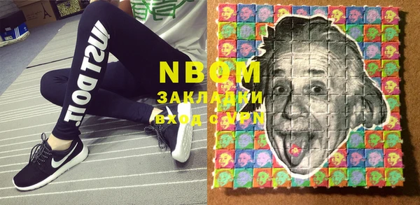 индика Каменка