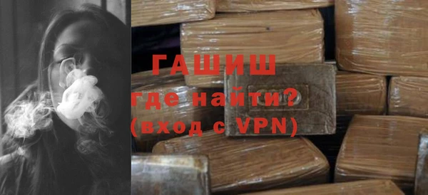 индика Каменка