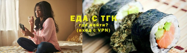 индика Каменка