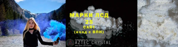 индика Каменка