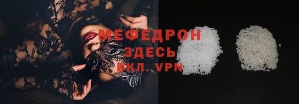 индика Каменка