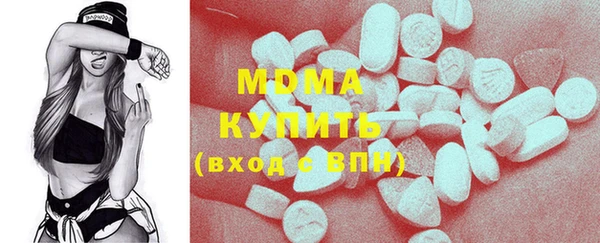 индика Каменка