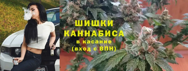 мяу мяу мука Иннополис