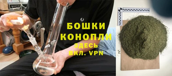 мяу мяу мука Иннополис
