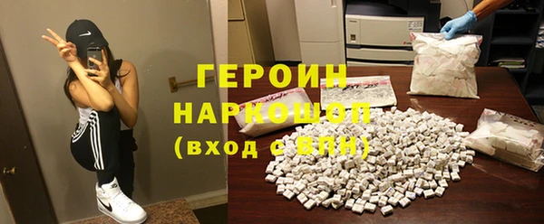 индика Каменка